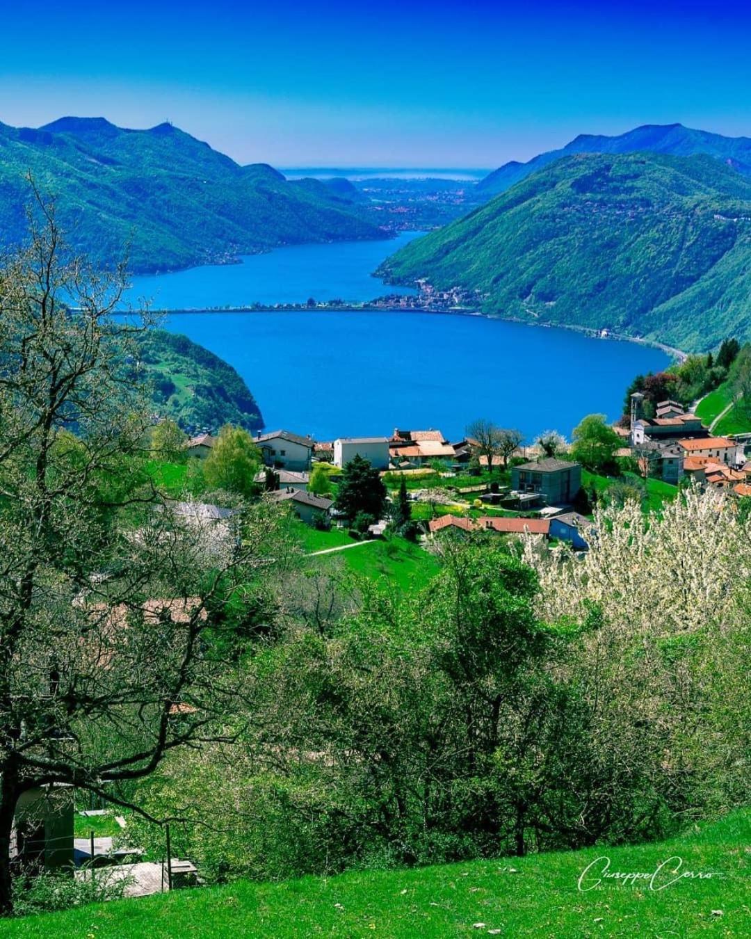 Violet Suite 5 Lugano City For 4 Guest -By Easylife Swiss Екстер'єр фото